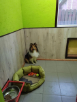 IMG_20261019_114234