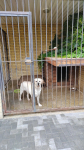 IMG_20261019_133806
